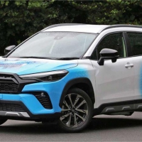 羅胖時(shí)間的朋友跨年演講釋放的世界氫燃料電池汽車信號(hào)